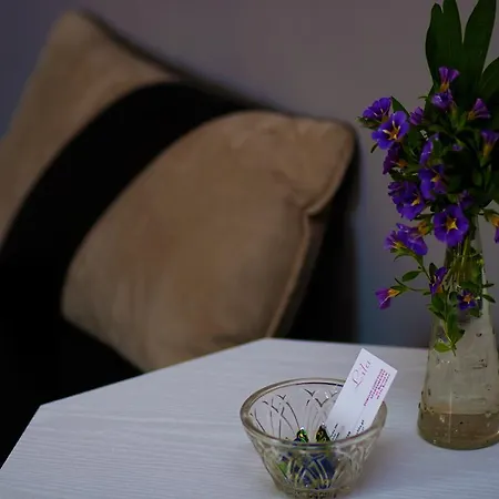 Lila Apartman *
